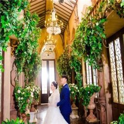 龙摄影国际婚纱集团 融合艺术与时尚的摄影体验